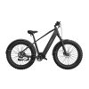 Bicicleta electrica Allroad 2-in-1 Fat Tire, MorphRover, Freebeat