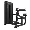 Aparat Abdomen/Extensie Spate FD08, Bodytone