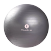 Minge fitness 65cm, gri, Sveltus, 1 kg