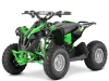 ATV electric Kinder Eco Wolf , motor 1060W 36V pozitionat pe punte si cui remorcare,  culoare verde