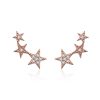 Cercei din argint Rose Gold Stars