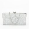 Geanta clutch cu sclipici BYH-856 05 Argintiu