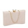 Geanta clutch sampanie BJH-22718 05
