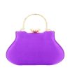 Geanta clutch violet V-187BB 05