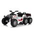 UTV electric pentru 2 copii Kinderauto Ranger 4×4 Sport 300W 24V premium, culoare verde