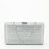 Geanta clutch sampaniu cu brosa BYH-8815 05