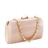 Geanta clutch sampanie BJH-22718 05