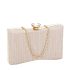 Geanta clutch cu sclipici BJH-22718 05 Roz